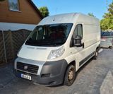 Fiat Ducato Kastenwagen hoch, mit MwSt - Fiat Ducato: Van