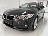 BMW 218i Coupe Advantage/Xenon/Navi/Teilleder - BMW: X21