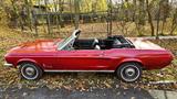 Ford Mustang V8 Cabrio - Ford Mustang Oldtimer: Roadster
