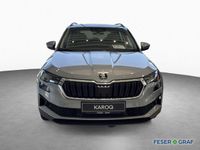 Skoda Karoq - Vorschau Bild 2