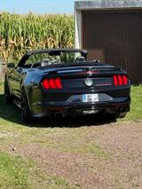 Ford Mustang 5.0 Ti-VCT V8 Black Shadow Edition A... - Ford Mustang: Black Shadow Edition
