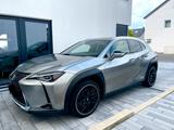 Lexus UX 250h Launch Edition   - Lexus UX Gebrauchtwagen