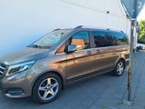 Mercedes-Benz V 220 CDI AVANTGARDE lang AVANTGARDE - mit Diesel-Antrieb: Gold, Vollleder
