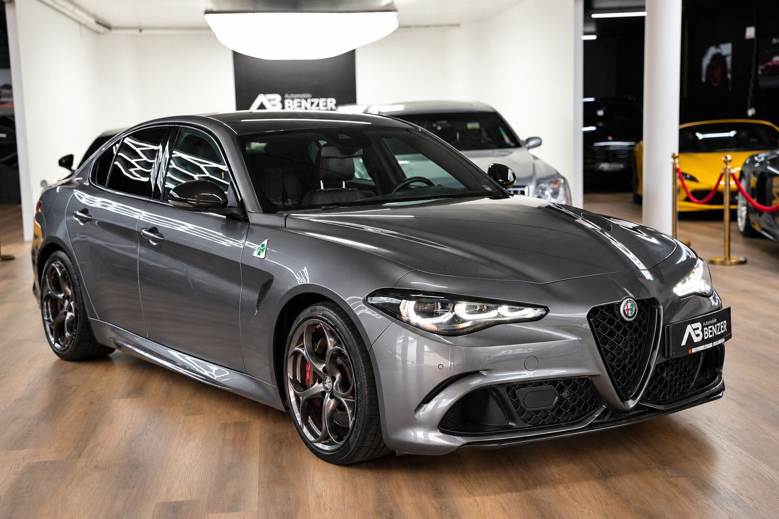 Fahrzeugabbildung Alfa Romeo Giulia Quadrifoglio *HarmanKardon*Kamera*Memory