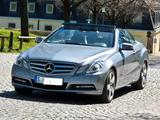 Mercedes-Benz E 250 Cabriolet E 250 BlueEFF. AVANTGARDE AV...
