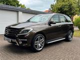 Mercedes-Benz ML 350 Edition1 /Deisgno/Scheckheft/Asisst/AHK/ - Mercedes-Benz ML 350 in Hannover