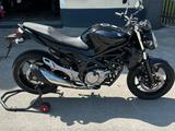 Suzuki SFV 650 Gladius (SV 650) SERVICE NEU TÜV 03/27 - Offers matching your search criteria