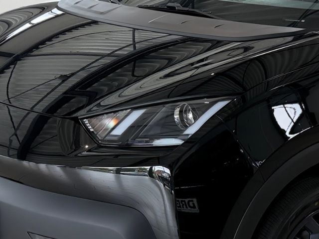 BYD DOLPHIN SURF