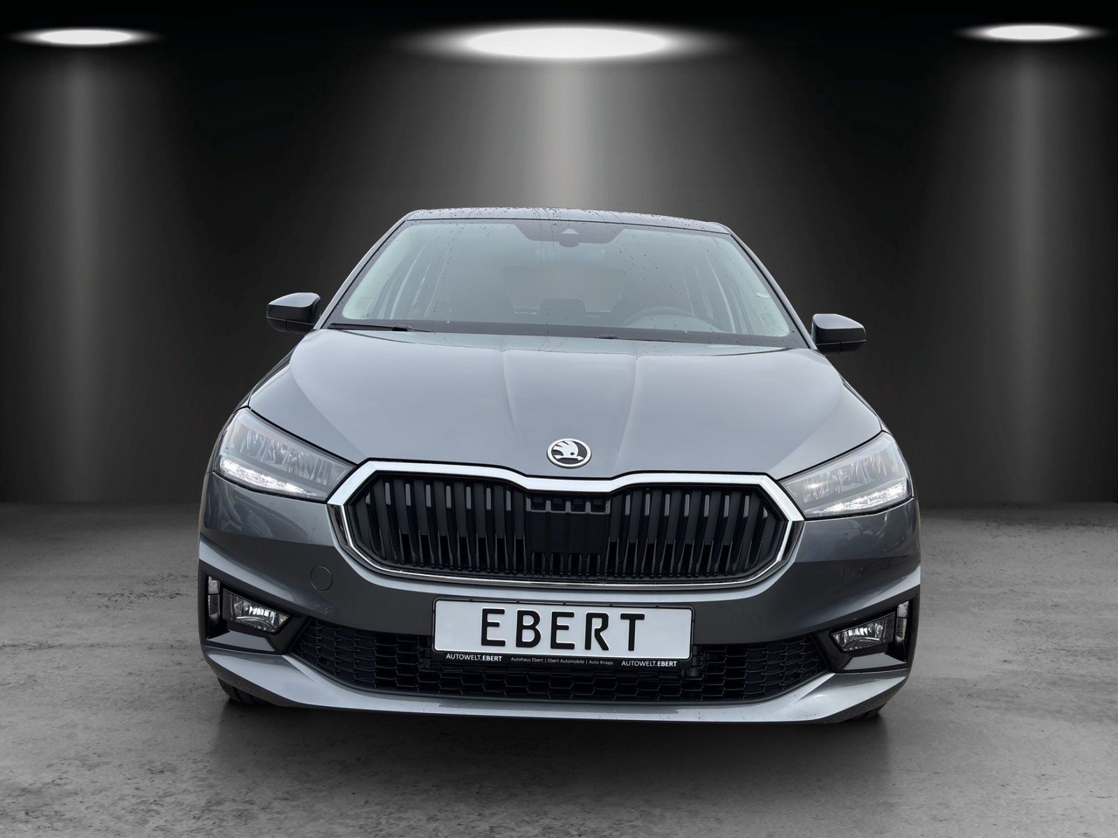 Fahrzeugabbildung SKODA Fabia Essence 1,0 TSI 70 kW
