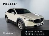 Mazda CX-30 e-SKYACTIV-G 2.0 M HYB 150 DRIVE SELECTION - Mazda CX-30 in Duisburg