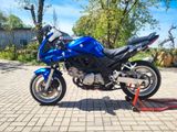 Suzuki SV 650 S V2  TÜV Neu Leo Vince Sportauspuff  - Offers matching your search criteria