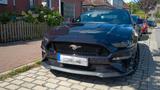 Ford Mustang 5.0 Ti-VCT V8 GT Auto GT - Ford Mustang Gebrauchtwagen in Duisburg