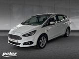 Ford S-Max 1.5 EcoBoost Titanium /LED/Panorama-SD/ - Ford S-Max: Weiß
