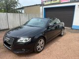 Audi A3 2.0 TDI 140PS Cabrio - Audi A3 mit Diesel-Antrieb: 140 Ps