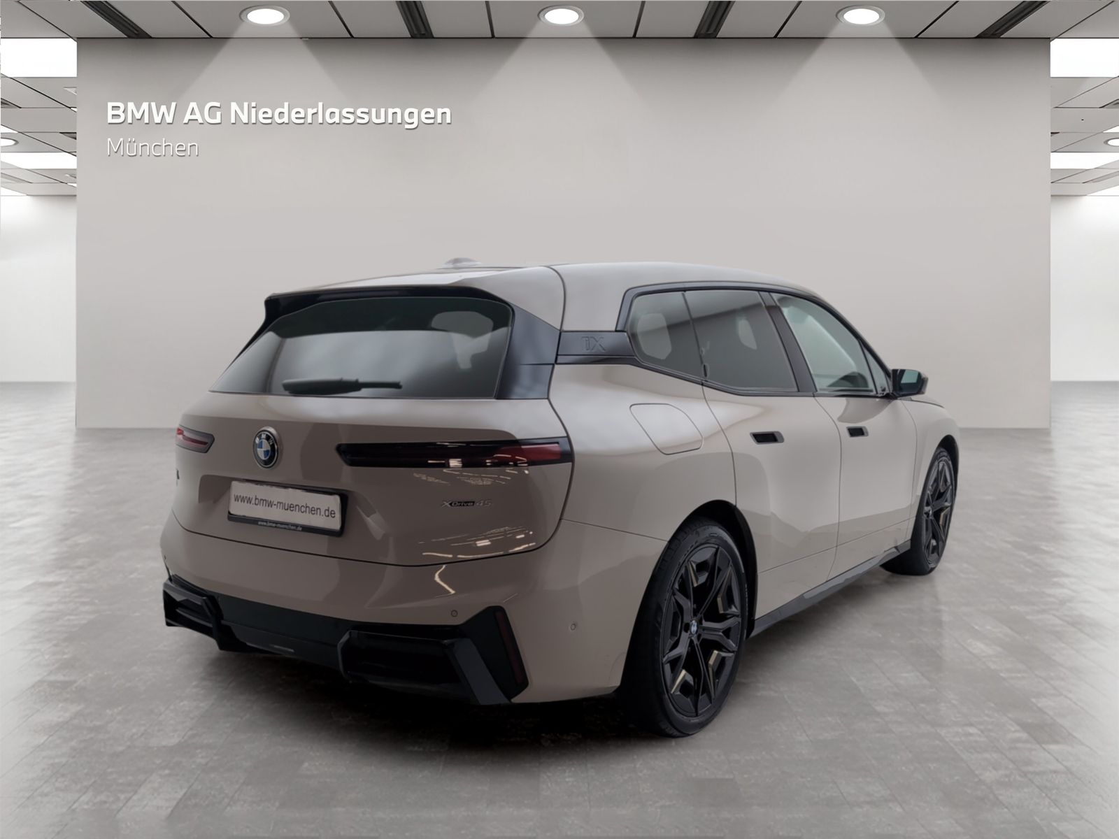 BMW iX xDrive45 M Sport AHK Driv.Assist.Prof Kamera foto 5