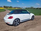Volkswagen Beetle 1.4 TSI Sport Cabriolet Sport - Volkswagen Beetle mit Benzin-Antrieb: Cabrio, 1.4