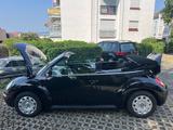 Volkswagen Schwarze VW Beetle Cabrio 1.4l, 75 PS - Volkswagen Beetle aus 2006: Cabrio