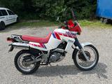 Yamaha 660 Tenere - YAMAHA 660 TENERE