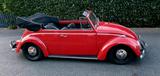 Volkswagen VW Käfer Cabrio Bj. 69 - aus 1969: Cabrio