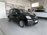 Fiat Panda 1.0 FireFly S&S Hybrid - Fiat Panda: Fire