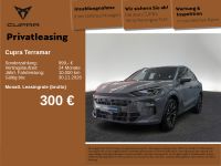 Cupra Terramar - Vorschau Bild 1