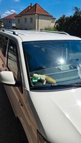 Volkswagen T6 andere - weiße Volkswagen T6 andere