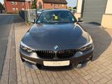 BMW 420 d M Sport Leder Kamera Head-Up Display - BMW 420: Cabrio