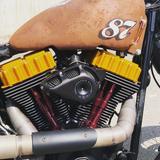 Harley-Davidson FLSTC /Custom - Angebote