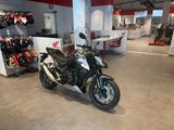 Honda CB750 Hornet 2026 Silver *sofort verfügbar* - HONDA NAKED BIKE