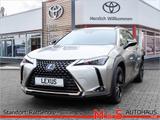 Lexus UX 2.0 250 h - Lexus Gebrauchtwagen