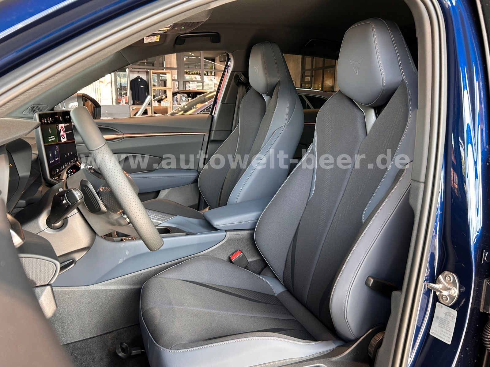 Cupra Terramar - Bild 17