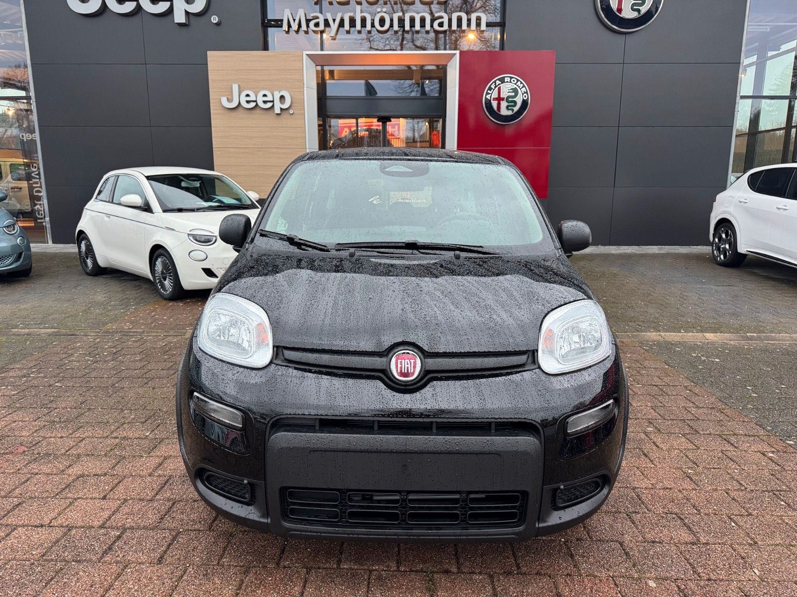 Fahrzeugabbildung Fiat Panda Hybrid 1.0 GSE DAB Tempomat