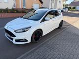 Ford Focus 2,0 EcoBoost ST Leder-Sport-Paket ST - Ford Focus: Weiß, ST