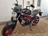 Suzuki TÜV NEU!!! SV650 IN ROT - SUZUKI 650 R