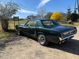 Ford Mustang 1964 1/2 - gebrauchte Ford Mustang aus dem Jahr 1964
