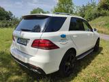 Mercedes-Benz Gepflegter GLE 350 4 Matik mit 20 Zoll AMG - Mercedes-Benz GLE 350 in Stuttgart