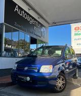 Fiat Panda 1.2 8V Dynamic *KLIMA*1-J GAR* - Fiat Panda: Blau
