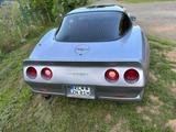 Corvette C3 Targa  - Corvette C3 Gebrauchtwagen