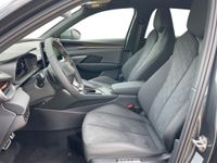 Cupra Terramar - Vorschau Bild 14