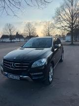 Mercedes-Benz ML 250 BlueTEC 4MATIC - Top Ausstattung - Mercedes-Benz ML 250 mit Panoramadach