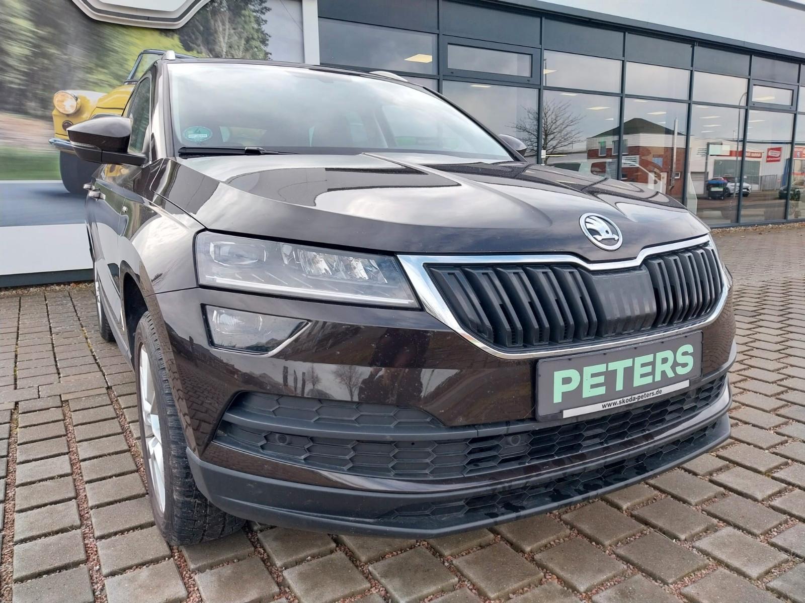 Skoda Karoq Clever TSI AHK Navi Rückfahrkamera