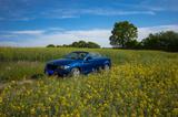 BMW 123d Cabrio  - blaue BMW 123