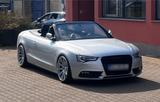 Audi A5 Cabrio 8F Vollausstattung 20 Zoll Softw... - Audi A5 8F