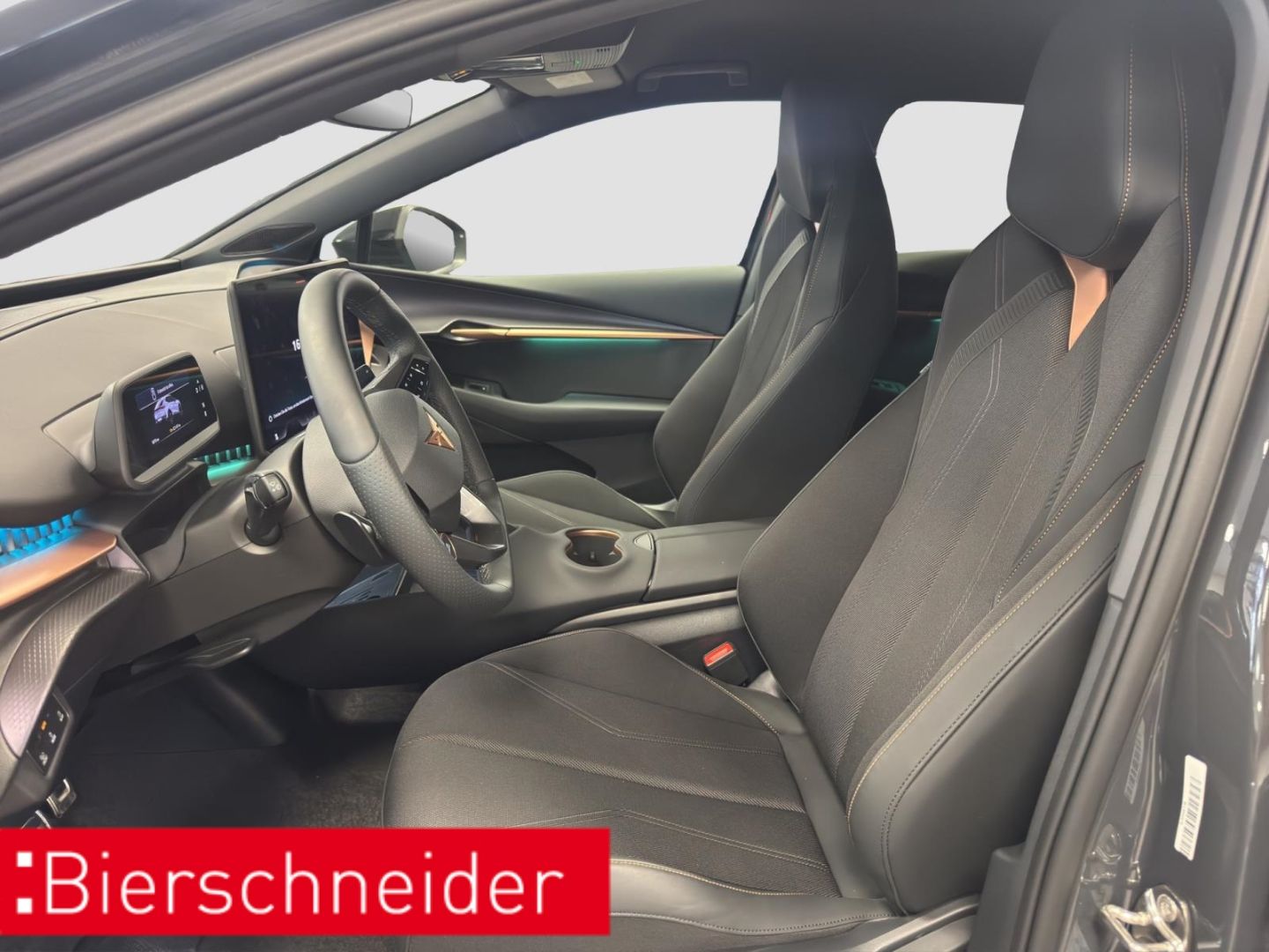 Cupra Tavascan - Bild 14