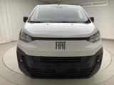 Fiat Scudo L3 H1 Multicab Basis - Fiat aus 2024