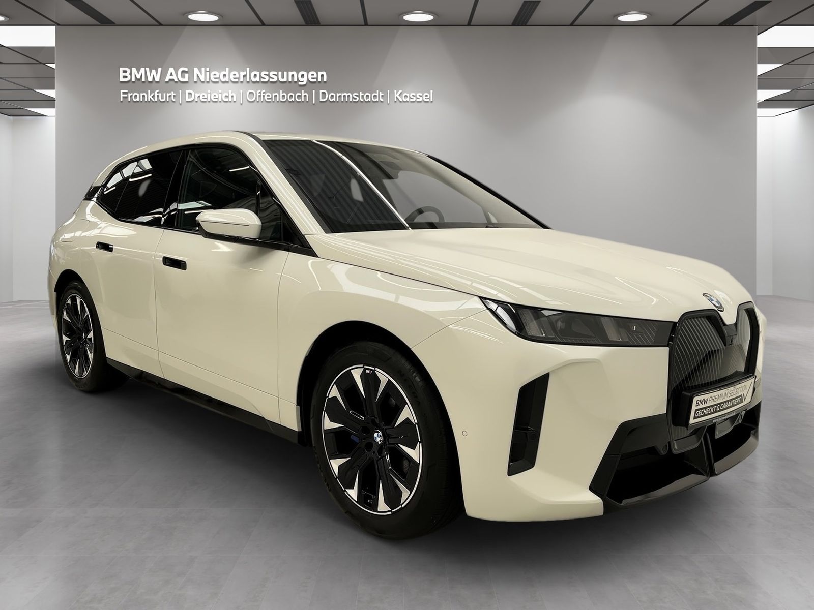 BMW iX xDrive45 M Sport AHK Driv.Assist.Prof Kamera foto 3