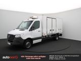 Mercedes-Benz Sprinter 516 Maxi ThermoKing Tiefkühl -32° 2243 - Mercedes-Benz The