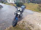 Kawasaki ER-5 Twister A2 48PS - Offers matching your search criteria