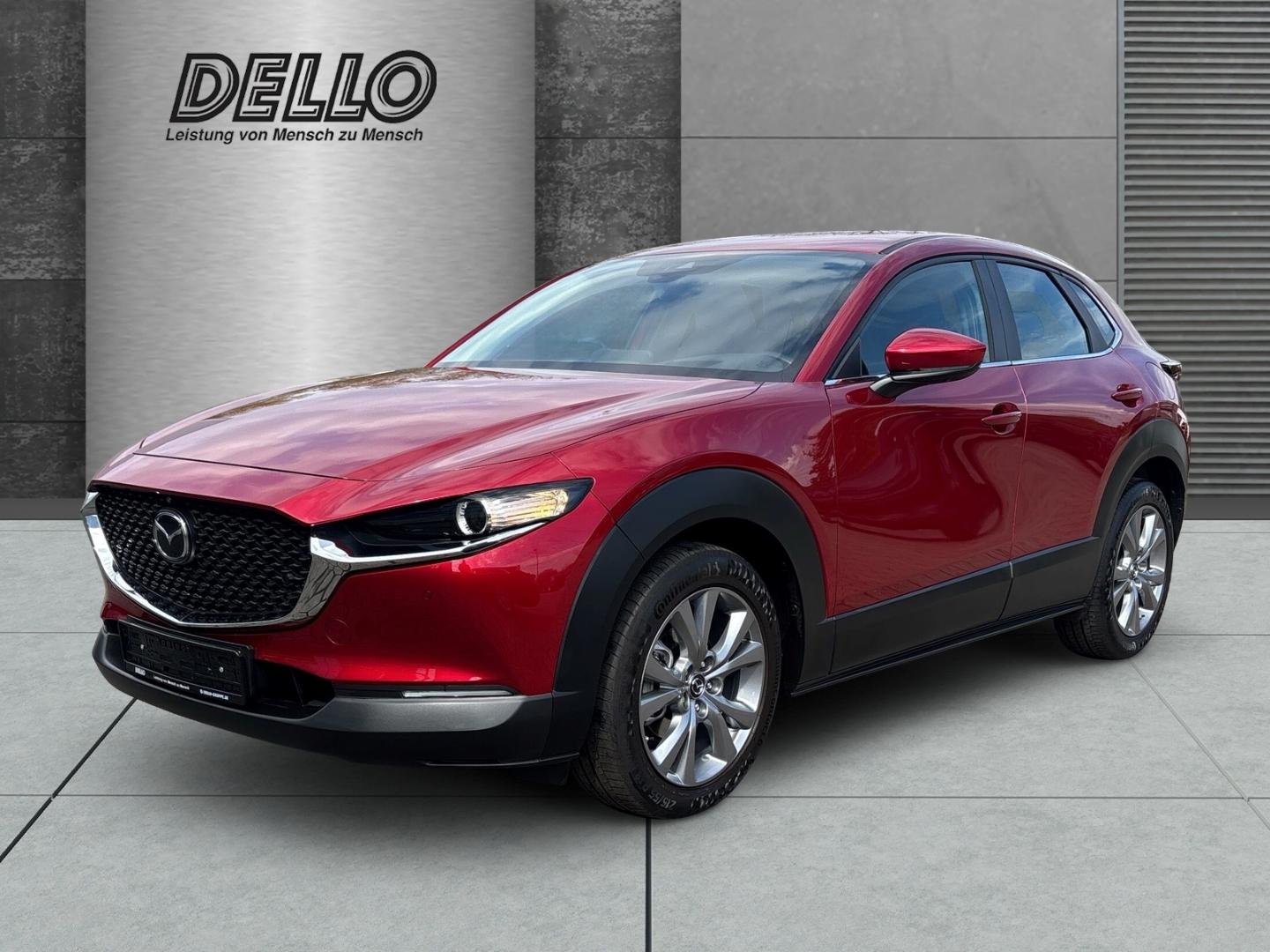 Mazda CX-30 Selection 2WD PDC+Kamera Sitzh. Navi BOSE 