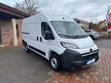 Opel Movano Kasten H2 35 L2H2 BlueHDI 140 - Opel Movano Kombi Gebrauchtwagen